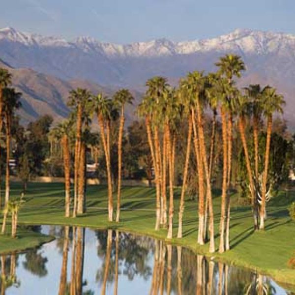 Win a Trip to Palm Springs