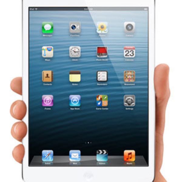 Win an iPad Mini from Steamy Kitchen!
