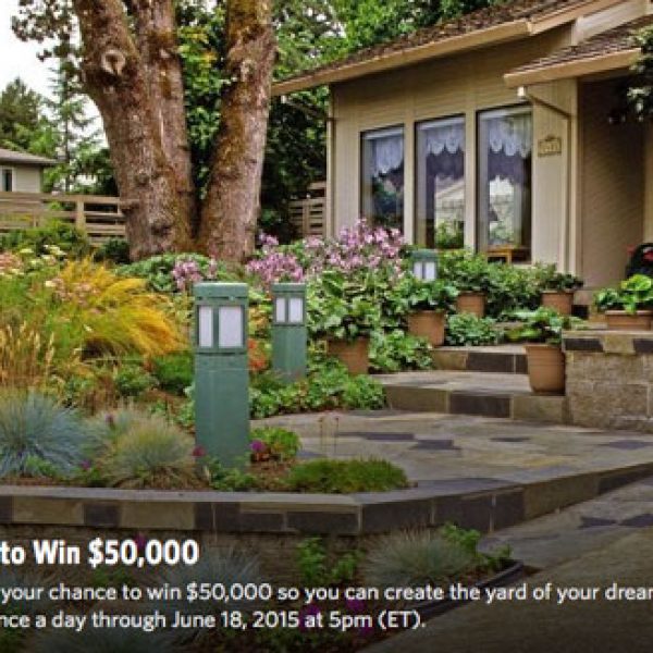 Win $50,000 Cash to Build Your Dream Back Yard