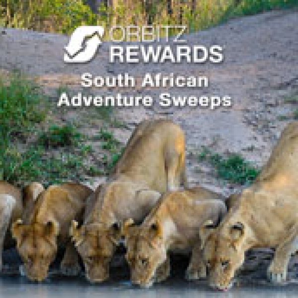 Win a $10,000 Trip to South Africa
