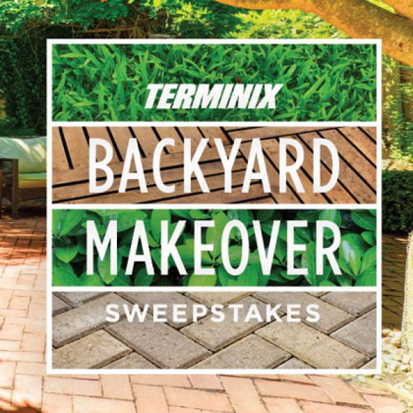 $20,000 Backyard Sweepstakes!