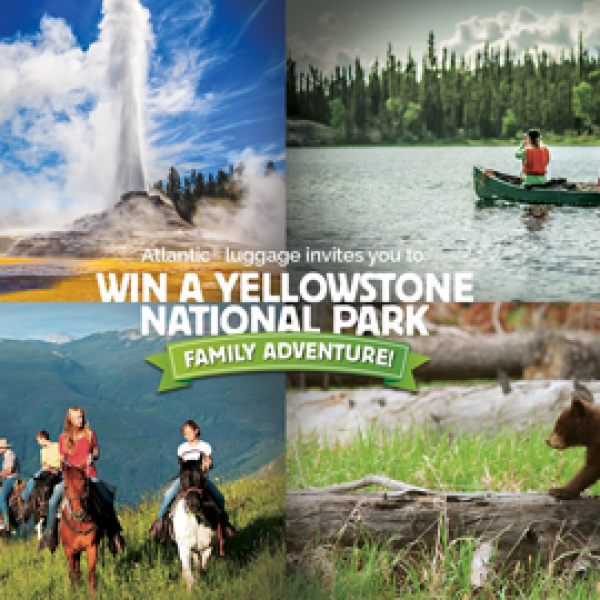 Yellowstone Park Sweepstakes!