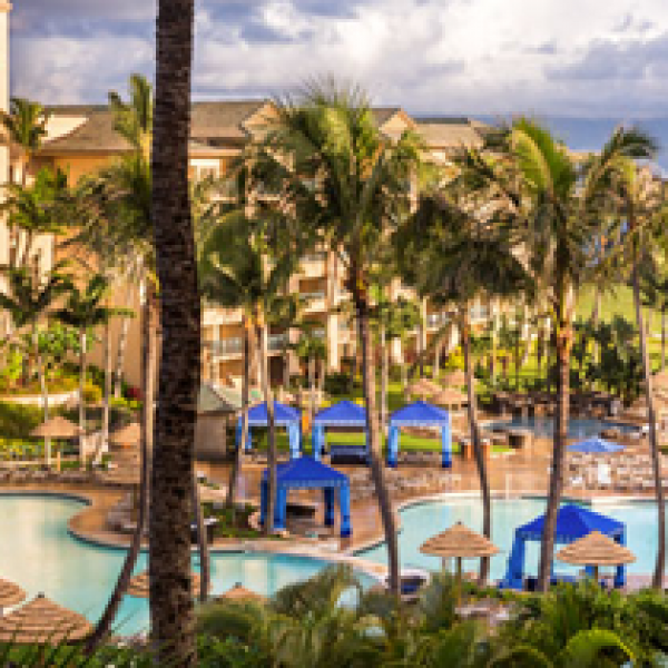 Win a VIP Trip to Maui!