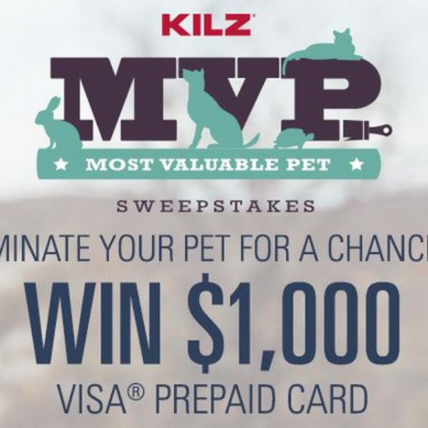 Expired! KILZ: Win $1,000 Visa Gift Card