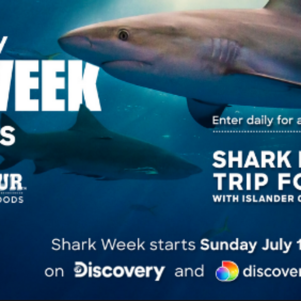 Discovery Shark Week: Win $10,000, a Shark Diving Experience and More
