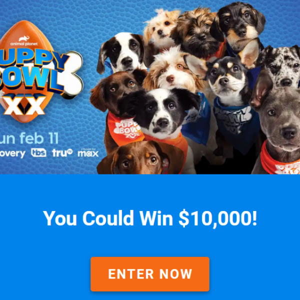Valpak Puppy Bowl: Win $10,000